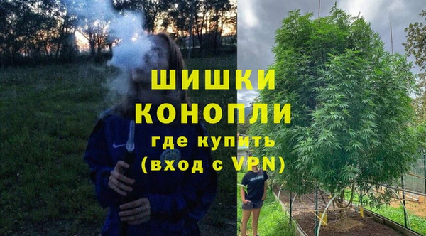 гашик Володарск