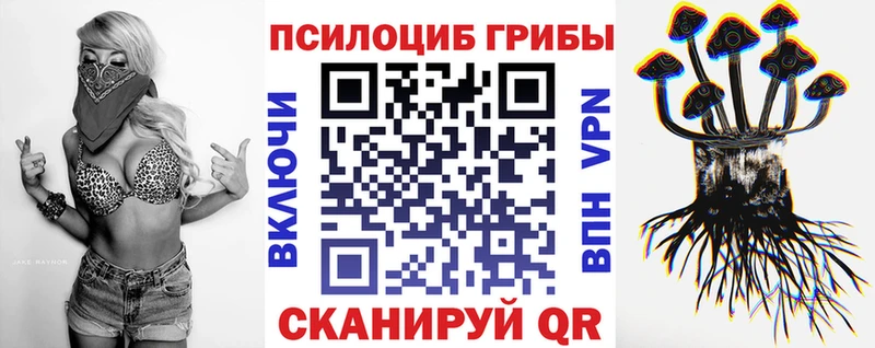 Галлюциногенные грибы Psilocybine cubensis  Сретенск 